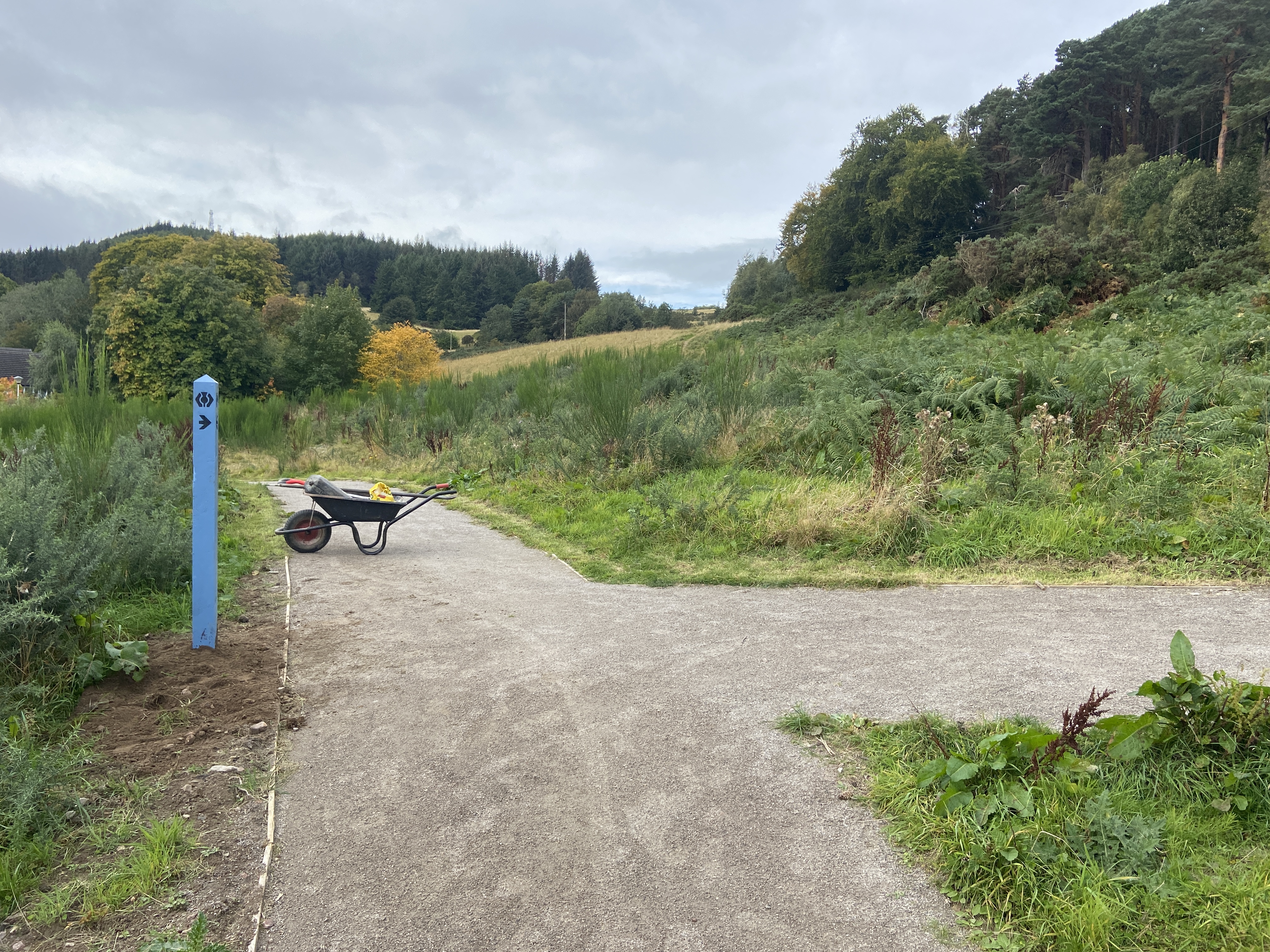 WM for new path