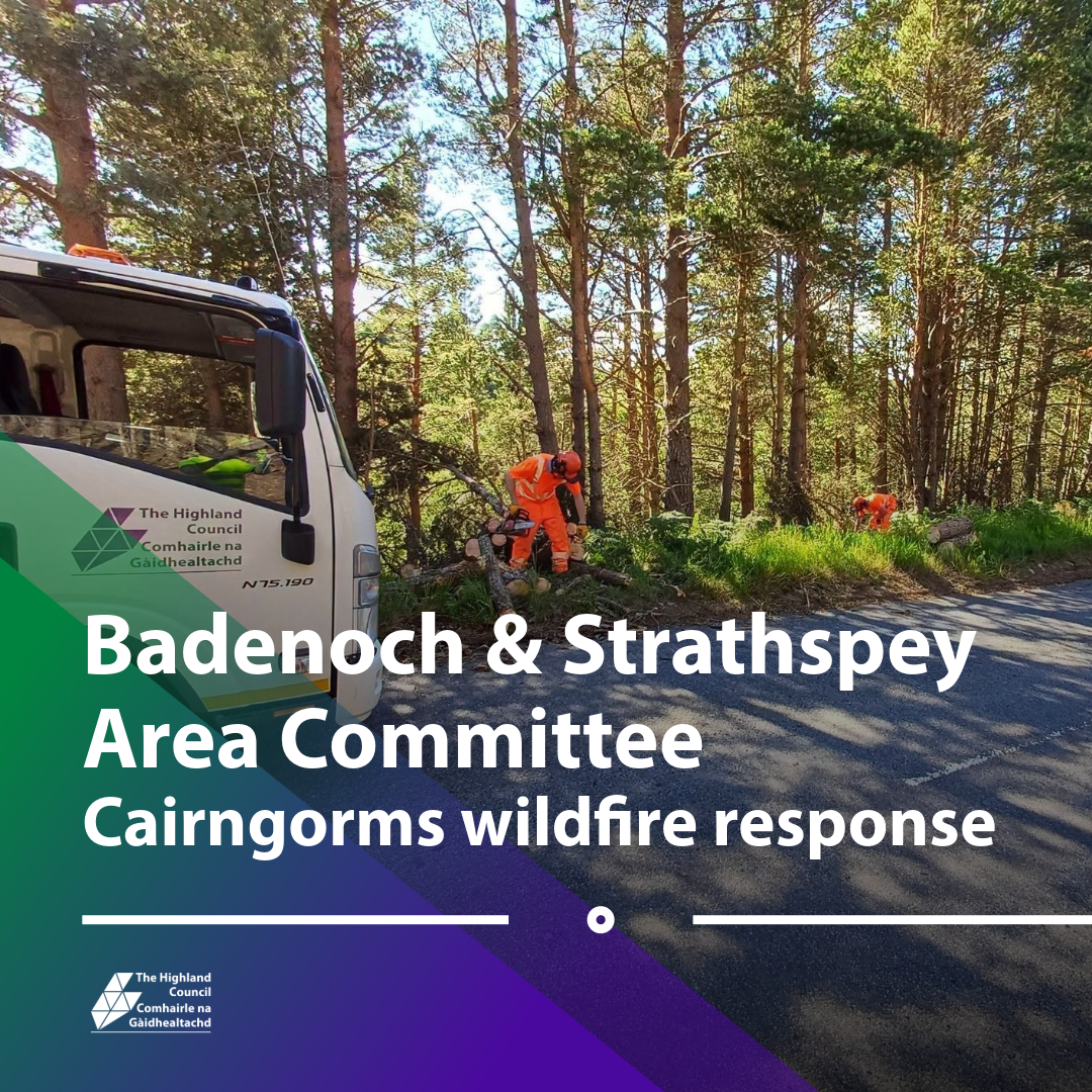 Highland Council crews in orange protective gear cutting and clearing felled trees at a forest edge beside a road during the Cairngorms wildfire response; overlaid headline reads "Badenoch & Strathspey Area Committee Cairngorms wildfire response."