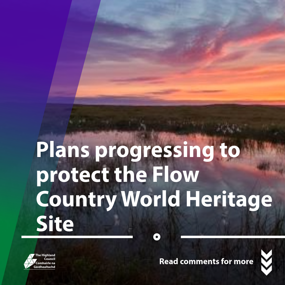 Graphic including photo of Flow County