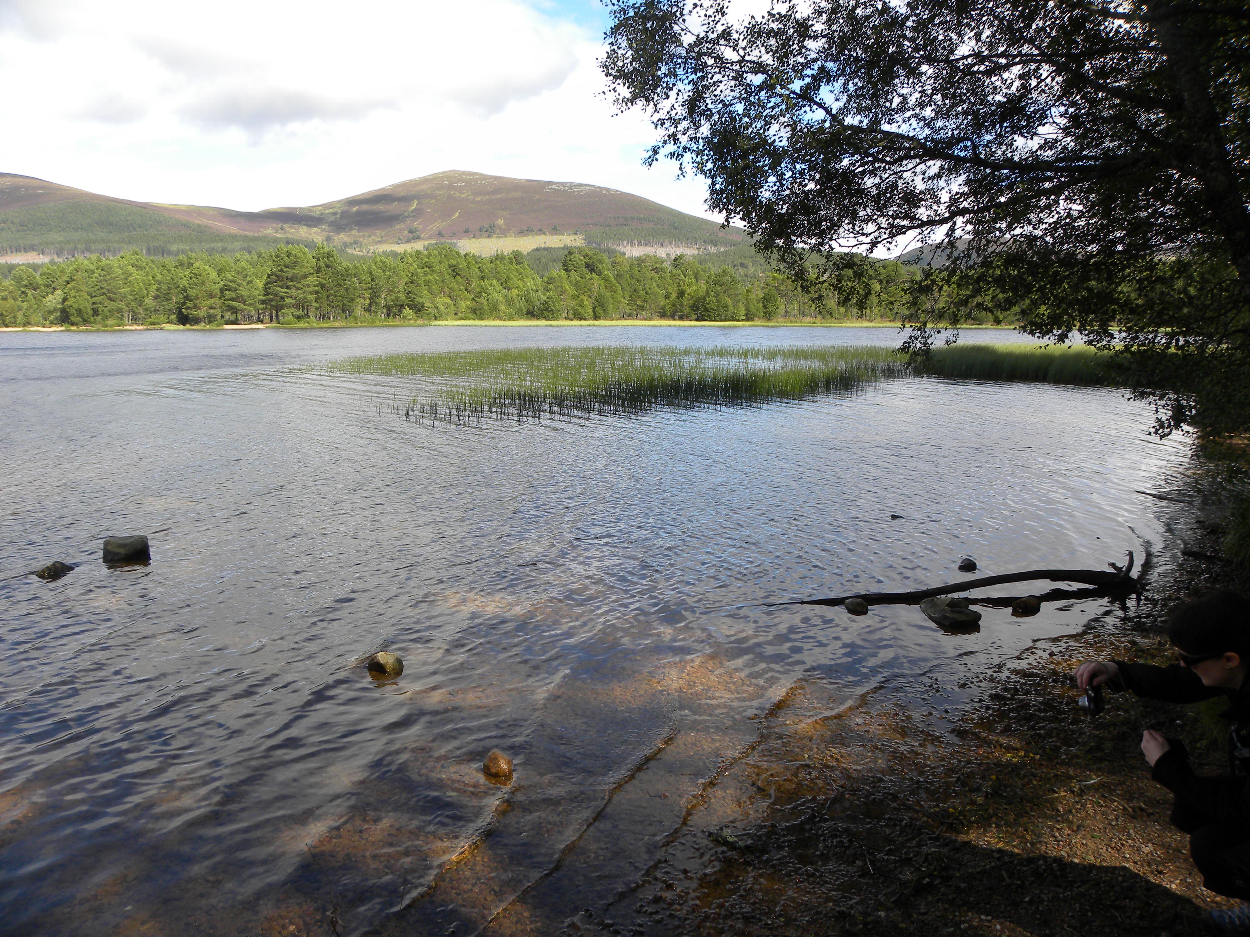 Loch Morlich