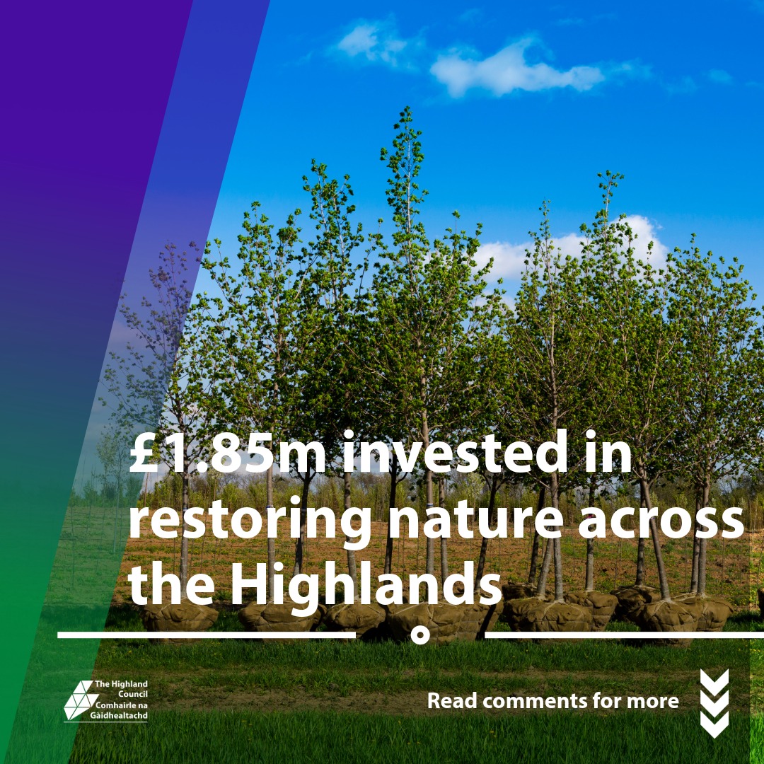 Photo showing recent tree planting