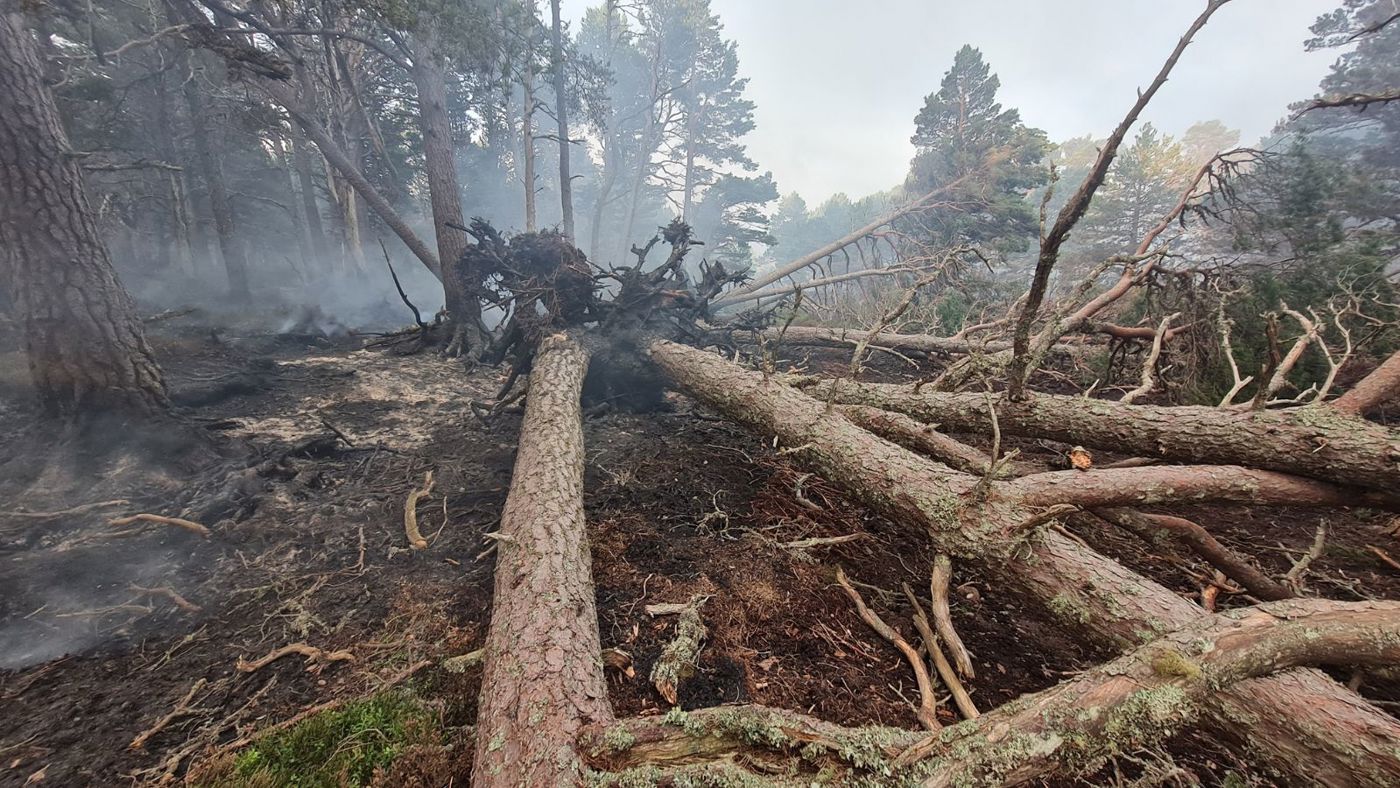 Damage caused by the wildfire.  Photo courtesy of Forestry and Land Scotland